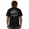 Coastal Snapper Tee